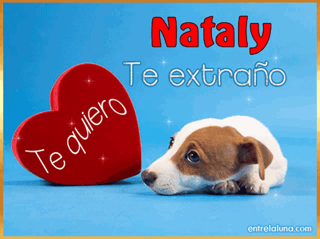 a dog laying next to a red heart that says te quiero