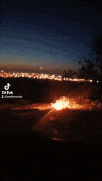 a man standing next to a tree with a fire behind him