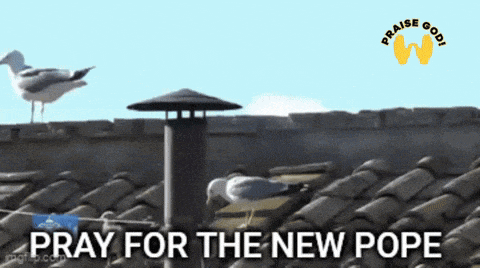 a seagull standing on a roof with the words pray for the new pope
