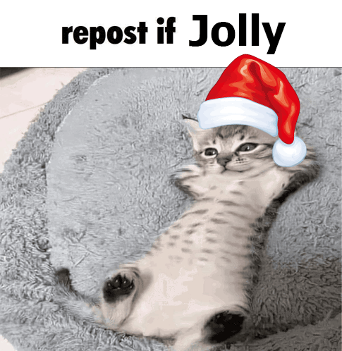 a cat wearing a santa hat with the words repost if jolly