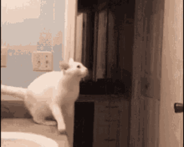 Cat Thinking About GIF - Cat Thinking About Posting GIFs