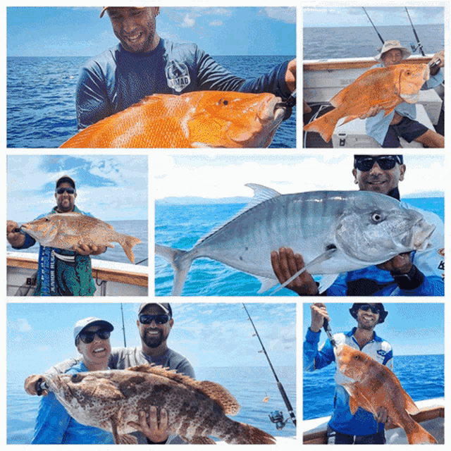 a collage of photos shows a man holding a large fish and a woman holding another fish