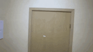 a woman is standing in a doorway looking out of it .