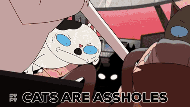 a cartoon says cats are assholes with a cat in the foreground