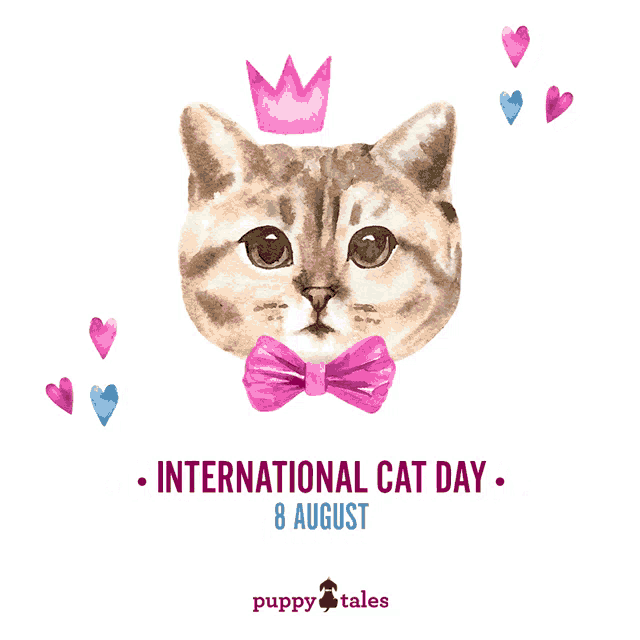 a cat with a bow tie and a crown on its head says international cat day 8 august