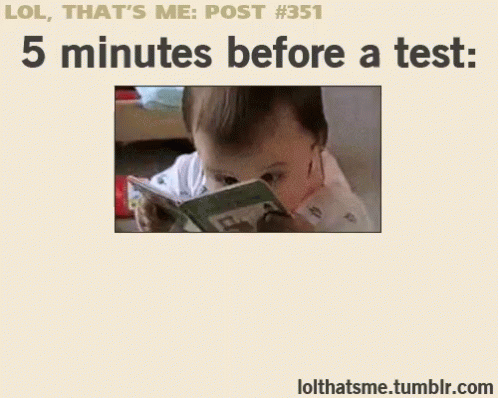 Reviewing5mins Before A Test Reading GIF - Reviewing5mins Before A Test Reviewing Reading GIFs