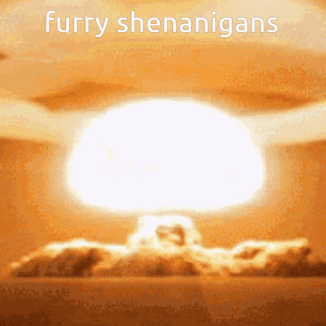 Furry Shenanigans GIF - Furry Shenanigans GIFs