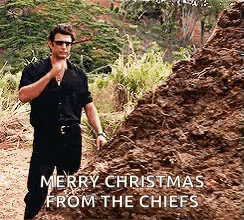 a man in a black shirt and sunglasses is standing next to a pile of dirt and a tree .
