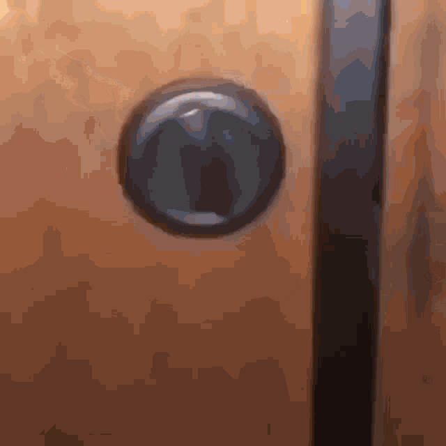 a close up of a door with a keyhole in it .