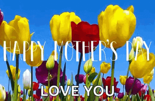a field of colorful flowers with the words `` happy mother 's day love you '' written on them .