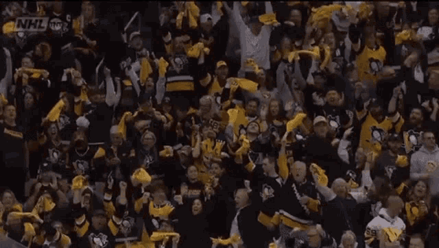 a crowd of people wearing nhl jerseys cheering