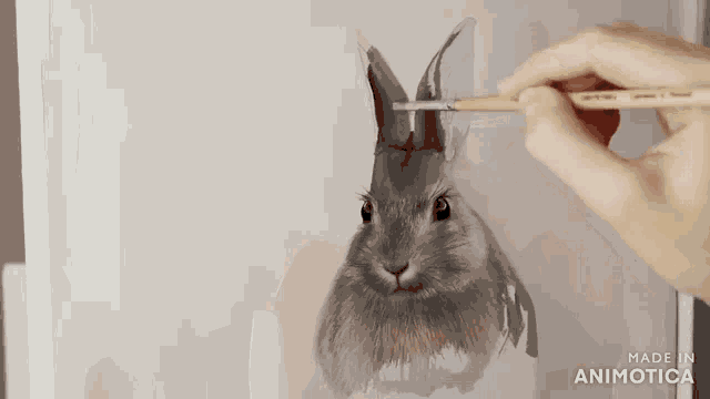 a person is painting a rabbit with a brush and the words made in animatica are visible in the corner
