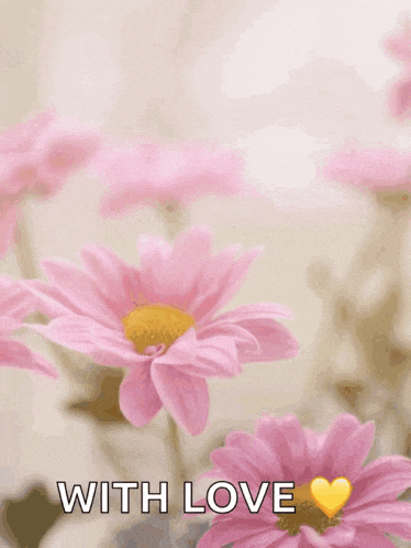 a happy mother 's day card with pink daisies