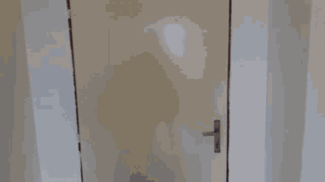 a white door with a silver handle is open to a white wall