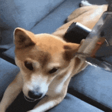Clean Cleaning GIF - Clean Cleaning Happy GIFs