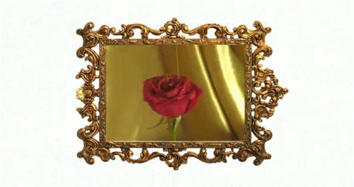 Rose Wrapped In Gold GIF