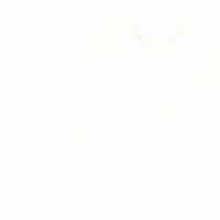 a yellow smiley face is giving a thumbs up sign on a white background .
