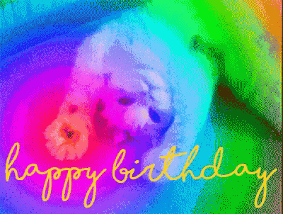a happy birthday greeting card with a white dog