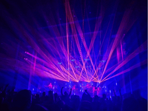 a crowd of people watching a concert with purple and orange lights
