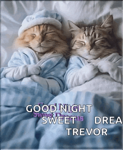 two cats are sleeping on a bed with a good night message