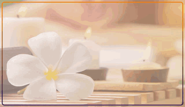 a flyer for day spa in toronto shows a woman getting a massage