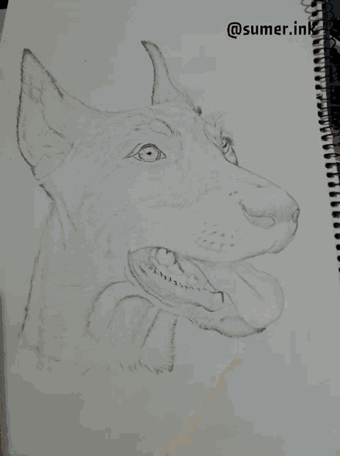 Drawing Art GIF - Drawing Art Dog GIFs