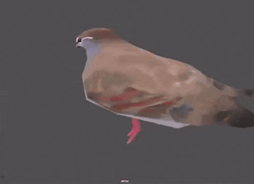 a 3d model of a pigeon is flying in the air on a grey background .