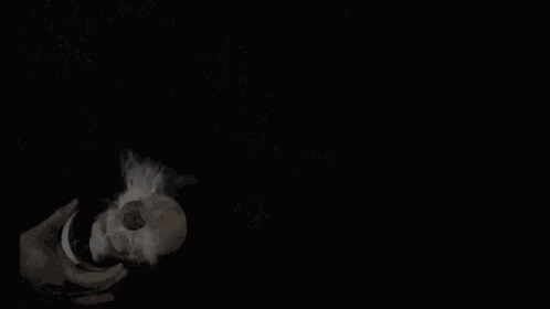 Champagne Tarlant Opening GIF - Champagne Toast Opening GIFs