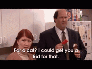 a man in a suit and tie is holding an ice cream cone next to a woman who says " for a cat "