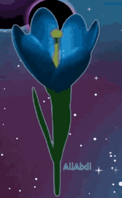 a picture of a blue flower with the name aliabdi on it