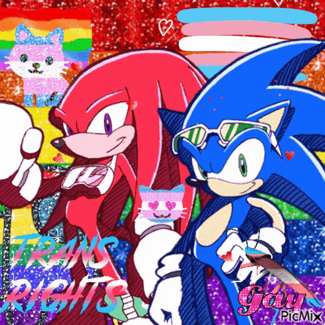 sonic and knuckles are standing next to each other on a colorful background with the words gay picmix at the bottom
