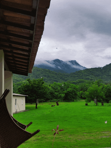 a view of a lush green field with mountains in the background on a cloudy day