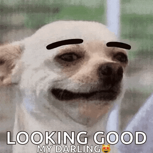 a white dog with black eyebrows is smiling and looking good my darling