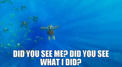 Did You See Me Did You See What I Did GIF - Did You See Me Did You See What I Did Finding Nemo GIFs