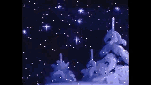 a snowy forest with trees covered in snow and stars in the sky