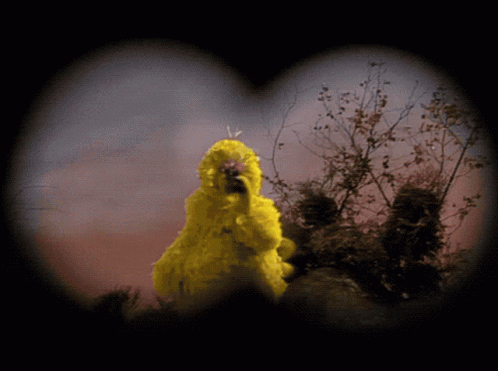 Muppet Show Big Bird GIF - Muppet Show Big Bird Leslie Uggams GIFs