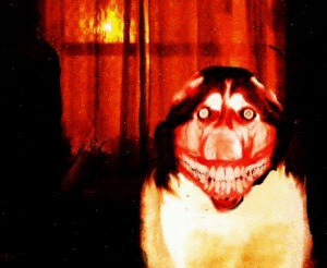 a scary dog with a big smile on its face is looking at the camera .