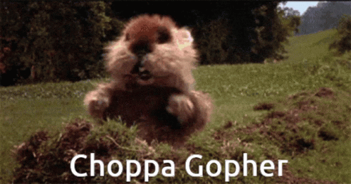 Choppa Gopher GIF - Choppa Gopher Dance GIFs