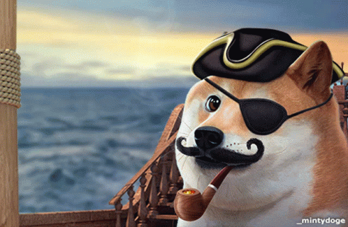 Doge Pirate GIF - Doge Pirate Piracy GIFs
