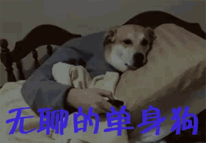 a dog is laying on a person 's lap with chinese writing on the bottom