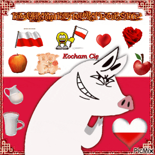 a picture of a pig with the words kocham cie at the bottom