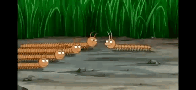 Talking Centipede GIF - Talking Centipede Insect GIFs