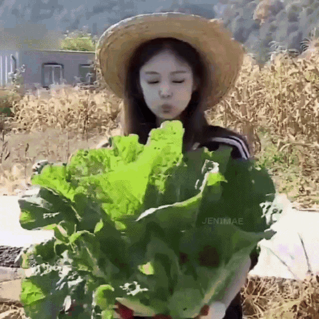 a woman wearing a straw hat is holding a large green leafy plant .