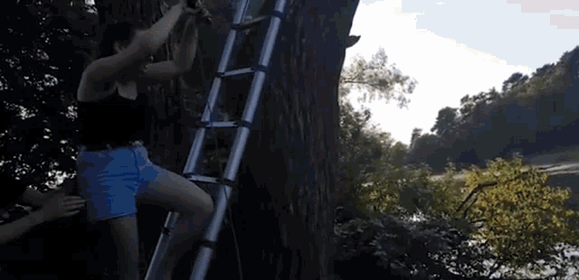 a woman is climbing up a ladder to climb a tree