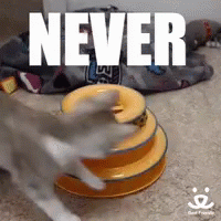 Never Give Up Play GIF