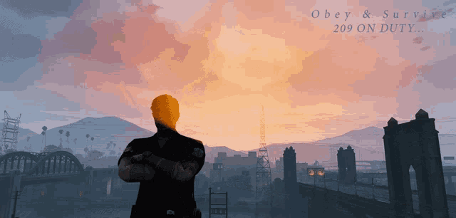 a man stands in front of a sunset with the words obey and survive 209 on duty