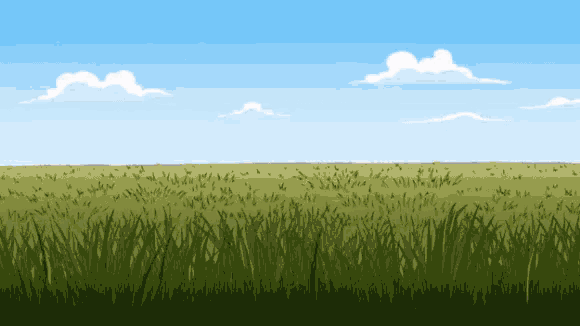 a field of grass with a blue sky and white clouds