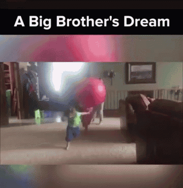 Dream A Big Brothers Dream GIF - Dream A Big Brothers Dream GIFs