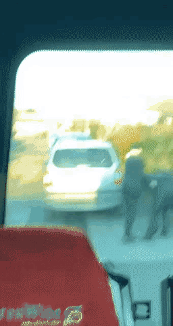 a white car is driving down a street with a red blanket on the back seat that says ' freedom '