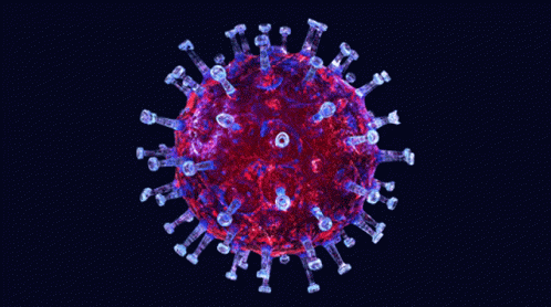 Covid19 Cell GIF - Covid19 Cell Virus GIFs